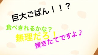 【ゆっくり茶番】ろーさんとコラボ!!