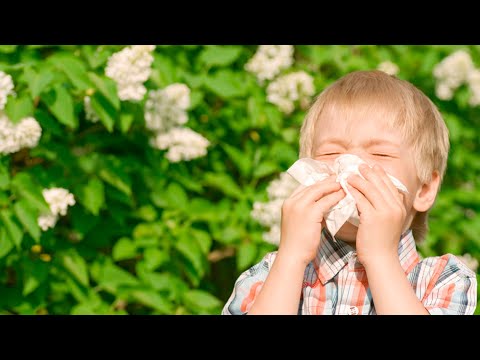 О самых главных»: поллиноз у детей видео