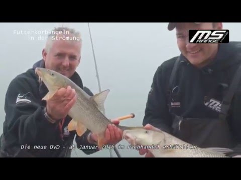 Trailer DVD „Futterkorbangeln in der Strömung“