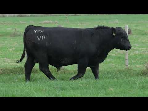 Lot 26  SEVEN HILLS V151 PV