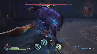 【Asterigos】聖女の執行人 アンドレアス【沈んだ郊外】