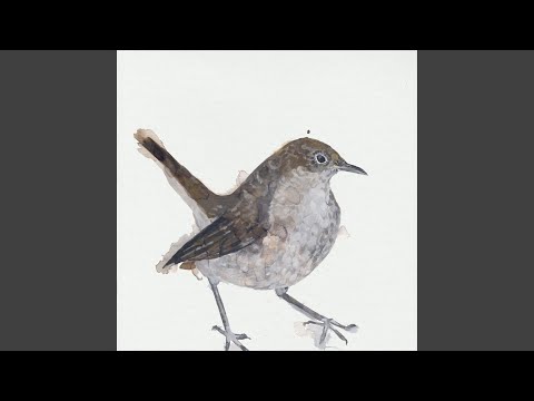 Nightingale Pt 1