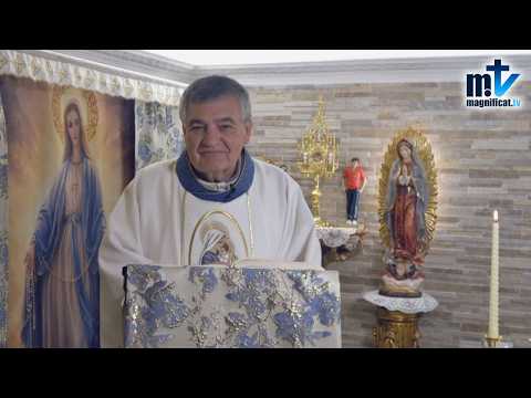 "¿Para Qué Sirve Rezar el Rosario?" | Homilía, Nuestra Señora del Rosario (07-10-2026) | P. Santiago Martín, FM