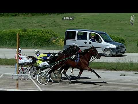 Aversa trotto 19 Maggio 2021 - 6° Corsa