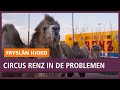 REPO: Cirkus Renz zit vast in Drachten door coronacrisis