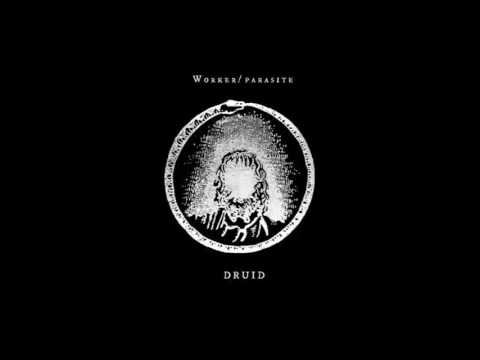 Worker Parasite - Druid [ELP001V]