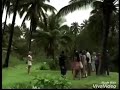 VJ JINGO