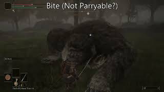 [討論] 路上遇到熊，可以用盾反應付嗎？