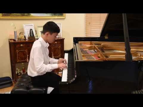 Hungarian, Etude in A minor, Op. 39 No. 12, Edward MacDowell, played by Daniel Zhang