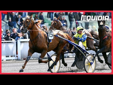 CRITÉRIUM DES 4 ANS 2019 | Falcao de Laurma sacré !