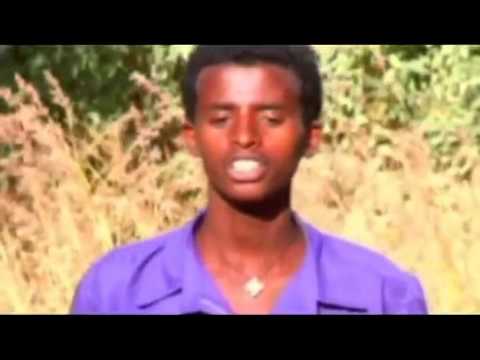 Ethiopian Traditional Music 2014.mp4