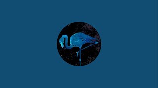 はじまり - 新スタジオからテスト配信