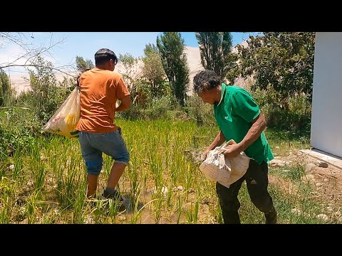 Este HOMBRE es el ULTIMO HABITANTE del CAMPO / Don Felipe...