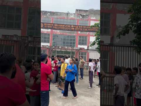 Dogs Killed In Animal Shelter At Rohini 😭