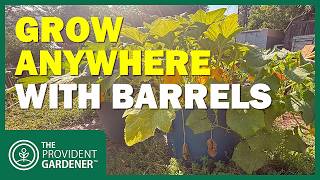 Master Gardener's SECRET: Turn 55-Gallon Drums Into Food-Producing MACHINES