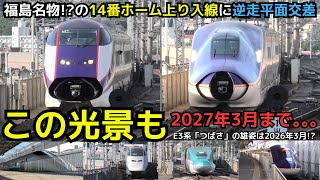 【この光景も残りわずか！？】福島名物!?の14番線ホーム上り入線と逆走平面交差　300km/h超高速通過も満喫！！　（一部速度付き） #Shinkansen　#fukushima