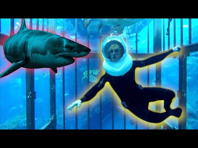 TRAPPED IN A CAGE WITH GIANT SHARKS OHMYGAWWWWDDDD!