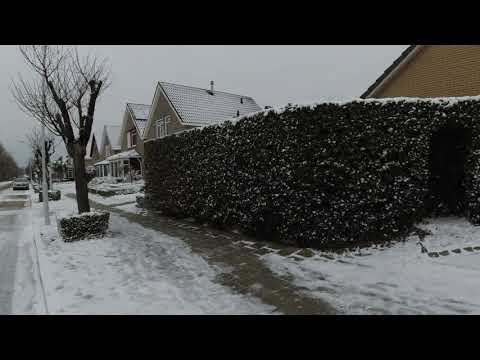 Spiegelglad routes naar school in Vogelwaarde Nederland