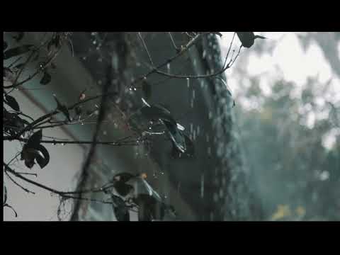 Relaxing music #rain  #music4relax  #music4all  #music4u  #music  #relax