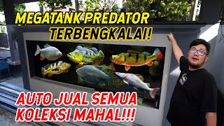 DI BUAT LEMES !!! PERTAMA KALI NGECEK MEGATANK PREDATOR HABIS DI TINGGAL LIBURAN!!!