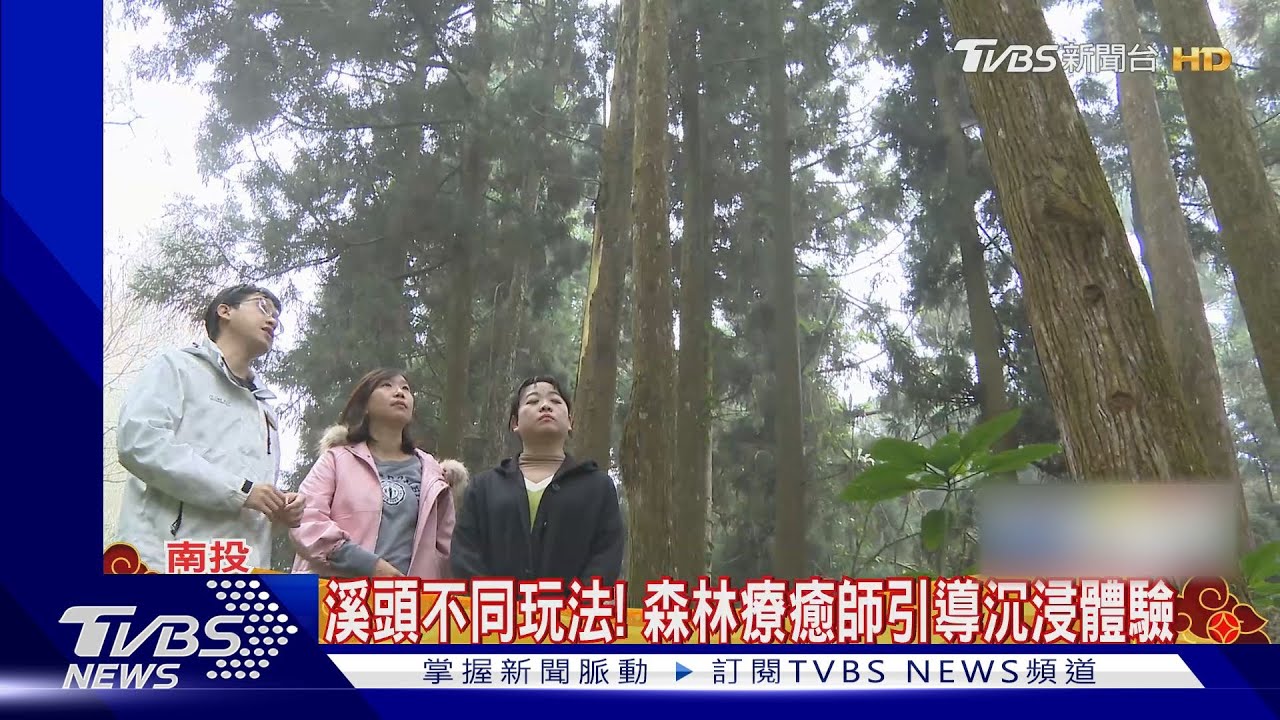 溪頭不同玩法! 森林療癒師引導沉浸體驗