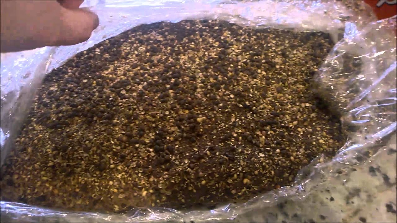 Montreal Smoked Meat video thumbnail