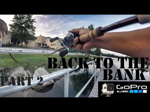 "Back to the bank" PT2 GoPro Fishing