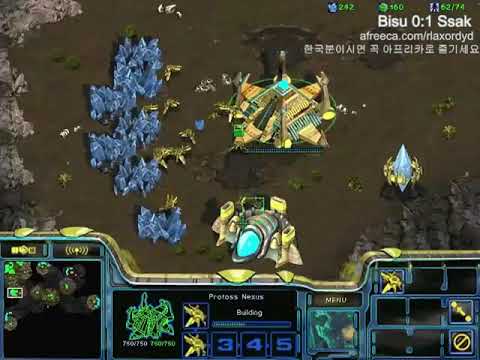 BW FPVBisu v sSak PvT 08 10 13 2Set Fighting Spirit