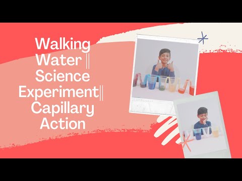 Walking Water ||Science Experiment ||Capillary Action ||Kids activity||Pranshul Talks
