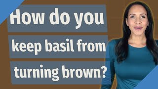 How do you keep basil from turning brown?