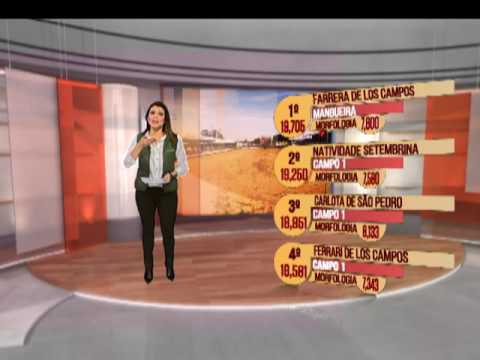 Confira a análise da última rodada do Freio de Ouro 2016