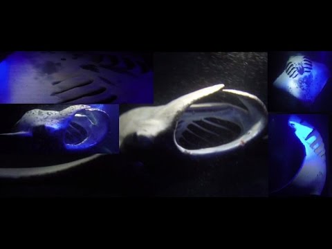 Experience Of A Lifetime: Amazing Giant Mantas Glide & Somersault Within Inches-UHD, Hawaii Snorkel