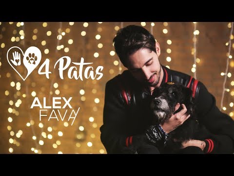 Alex Fava - 4 Patas  [Projeto Consciência 3 - Abandono de Animais]