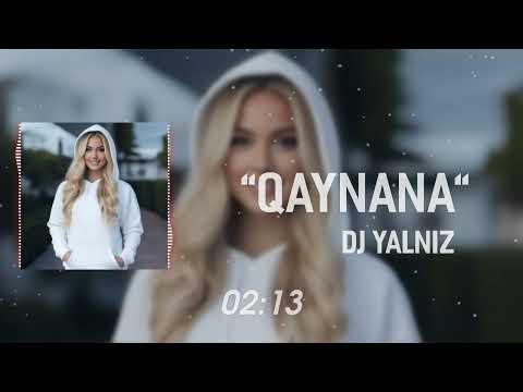 Dj Yalniz – Qaynana 2025 | Yeni Toy Mahnisi