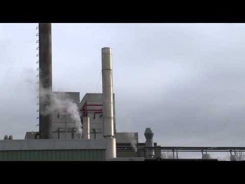 Vera Mou - Fabrikkens historie