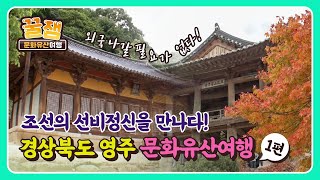 [꿀잼 문화유산] 경상북도 영주 문화유산여행 1부