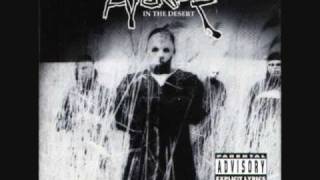 HYENAS IN THE DESERT / CAN YOU FEEL IT