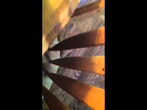 Visionaire 61 Unboxing