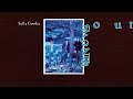 J.D. Crowe & The New South - Sally Goodin (Official Visualizer)