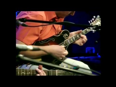 Jimmy Bozeman & the Lazy Pigs BLUES ALIVE ŠUMPERK 2014