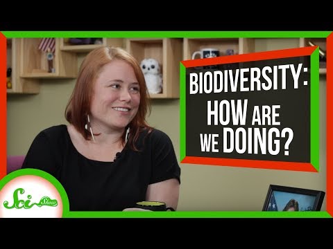 ブリット・ガーナーとのIPBESレポート｜サイショウ・トークショー (The IPBES Report with Brit Garner | SciShow Talk Show)