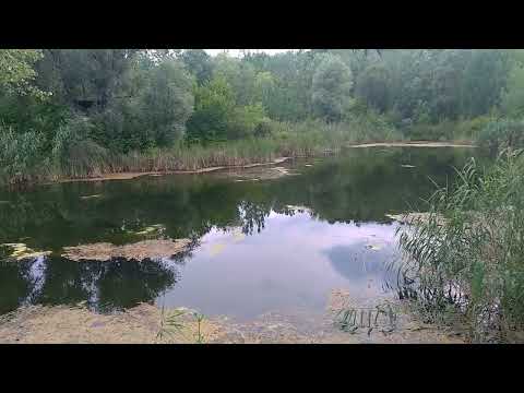 Motru 😌🌳 Zona lacurilor județul Gorj