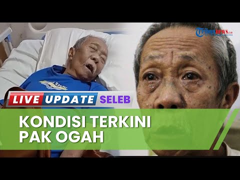Dibolehkan Pulang oleh Pihak Rumah Sakit, Istri Sebut Kondisi Pak Ogah Belum Normal: Sekarang Demam