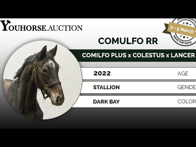 Comulfo RR