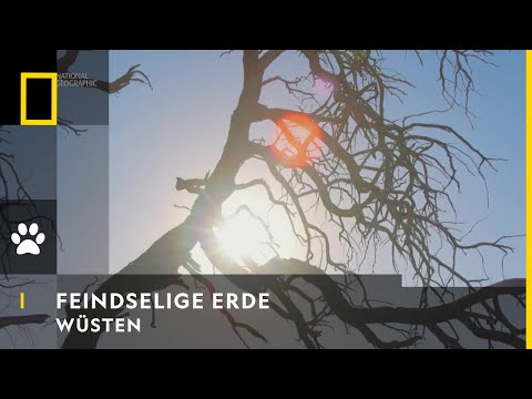 FEINDSELIGE ERDE - Wüsten | National Geographic