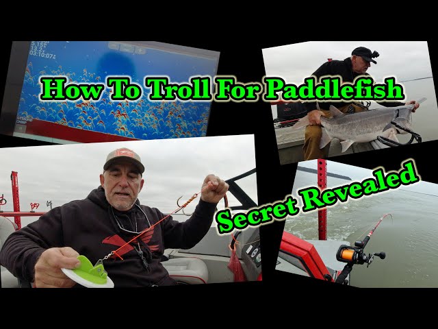 Vídeo relacionado con Ldbuejiaja 45 mm/57 mm/mm ajustable Dipsy Diver Trolling Disc Conector para equipo de pesca marítima, disco de trolling de alta resistencia