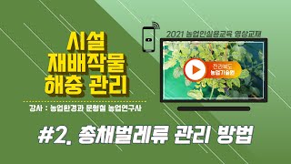 [시설재배작물 해충 관리방법] part 2. 총채벌레류 관리 방법