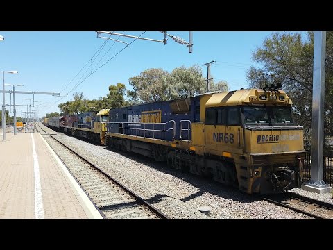 NR68 + NR35 + NR109(G) #1MP5