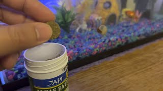 API ALGAE EATER WAFERS Algae Wafer Fish Food 1.3-Ounce Container