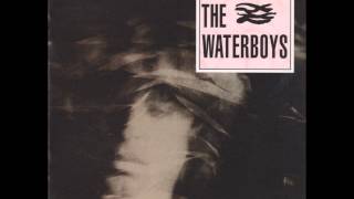 THE WATERBOYS A Girl Called Johnny